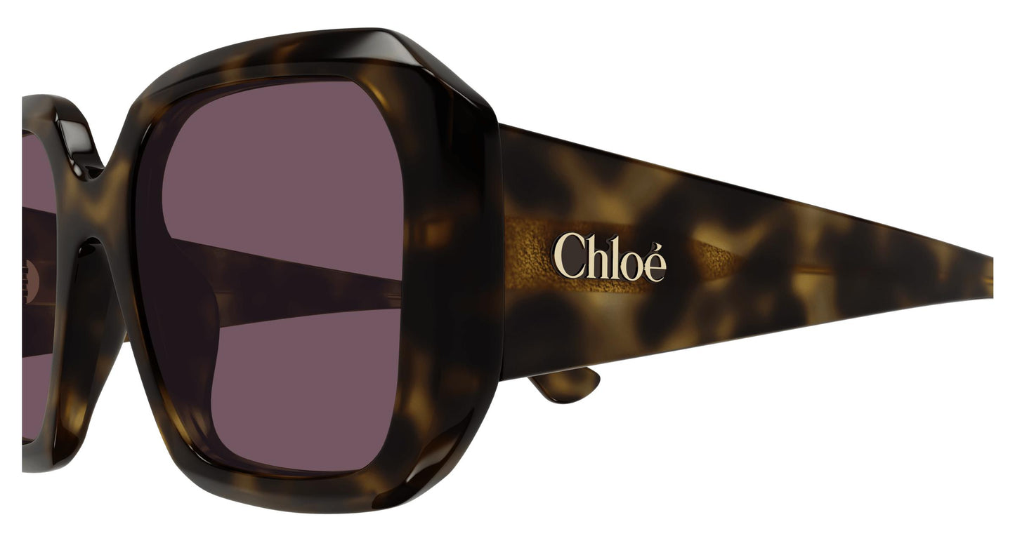 Chloé CH0300S 002 54