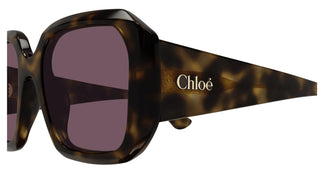 Chloé CH0300S 002 54