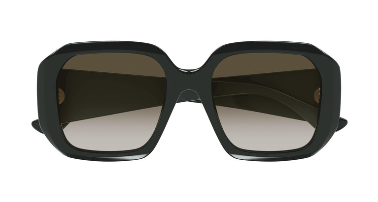 Chloé CH0300S 003 54