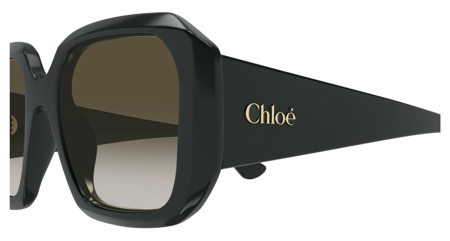 Chloé CH0300S 003 54
