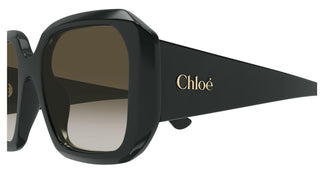 Chloé CH0300S 003 54