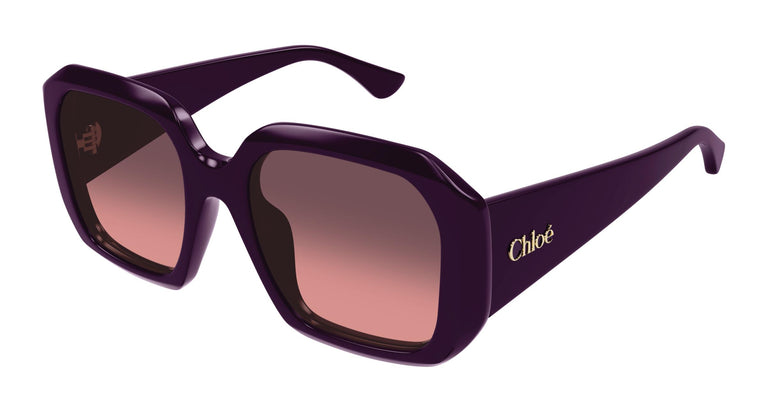 Chloé CH0300S 004 54