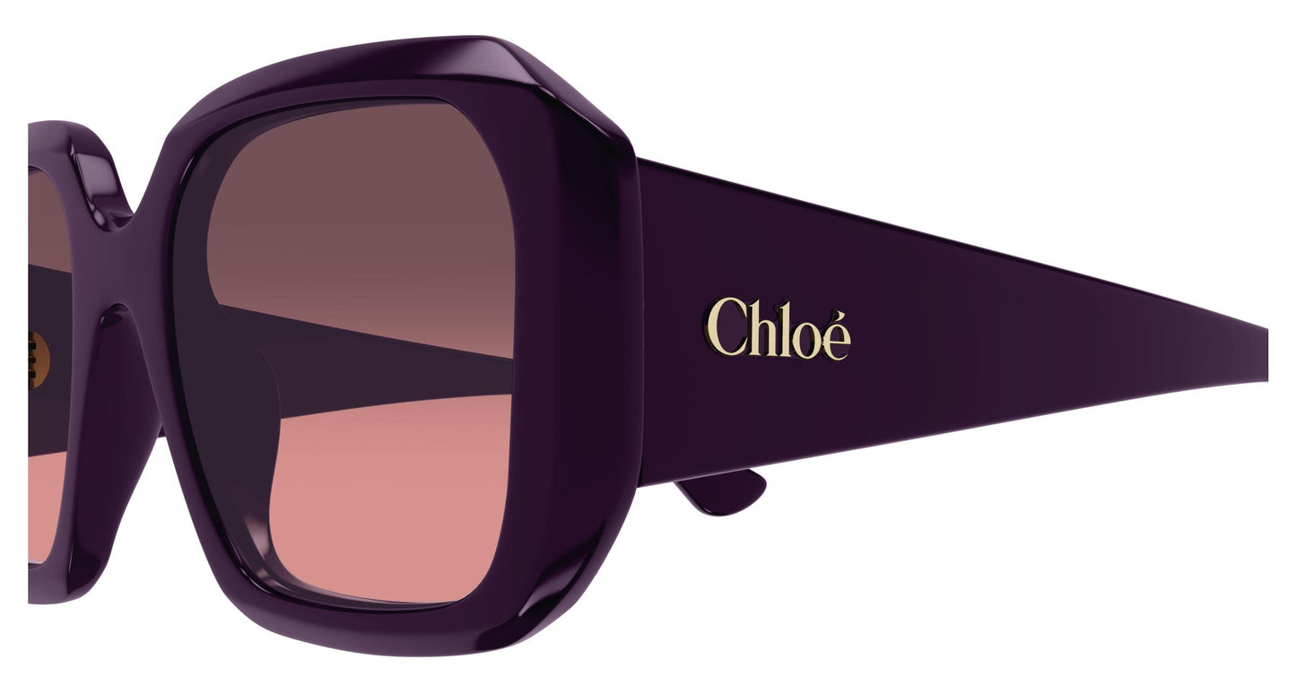 Chloé CH0300S 004 54