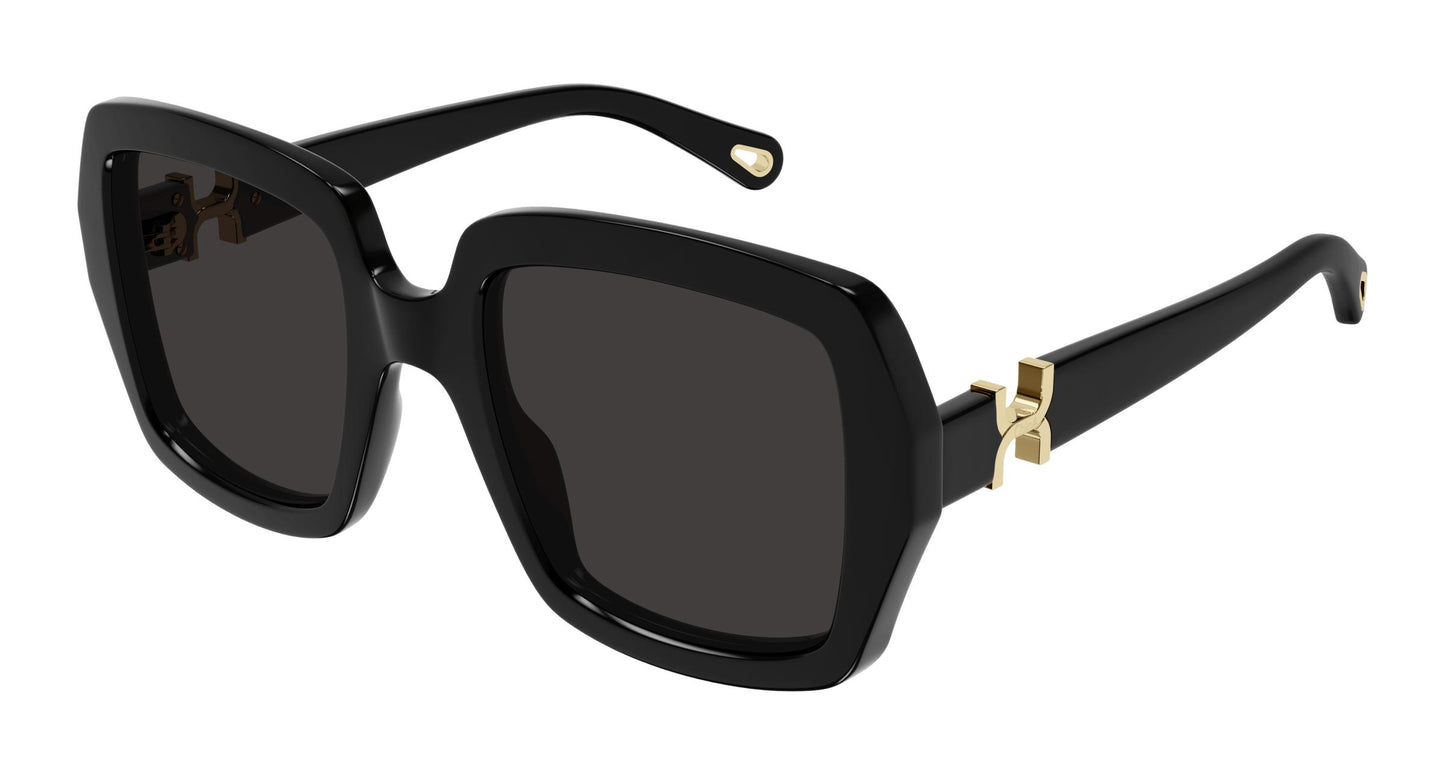 Chloé CH0301S 001 52