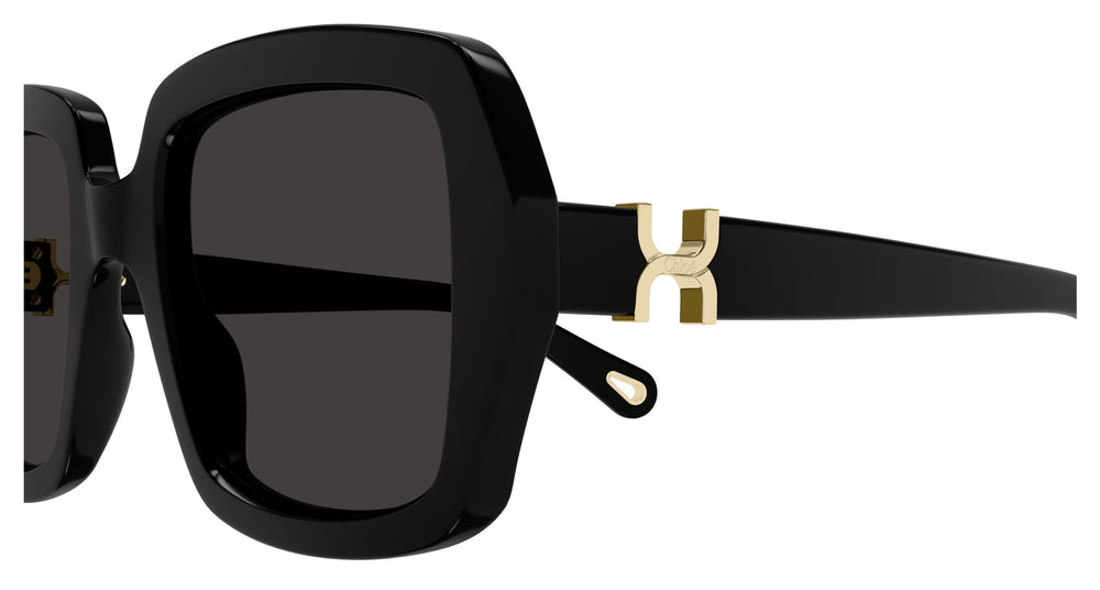 Chloé CH0301S 001 52