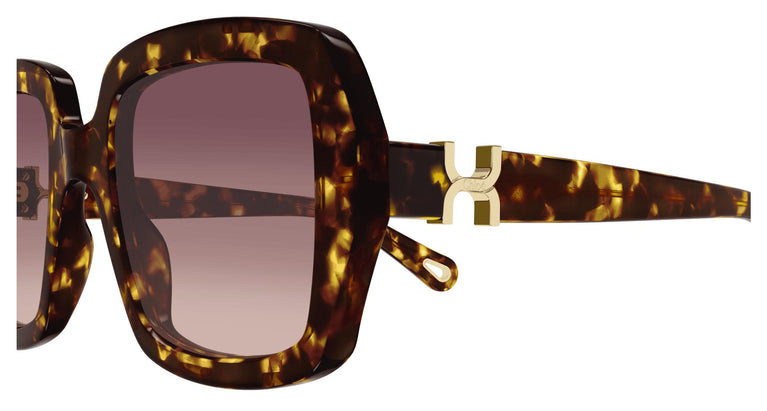 Chloé CH0301S 002 52