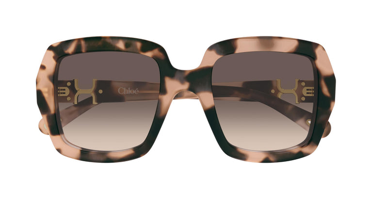 Chloé CH0301S 006 52