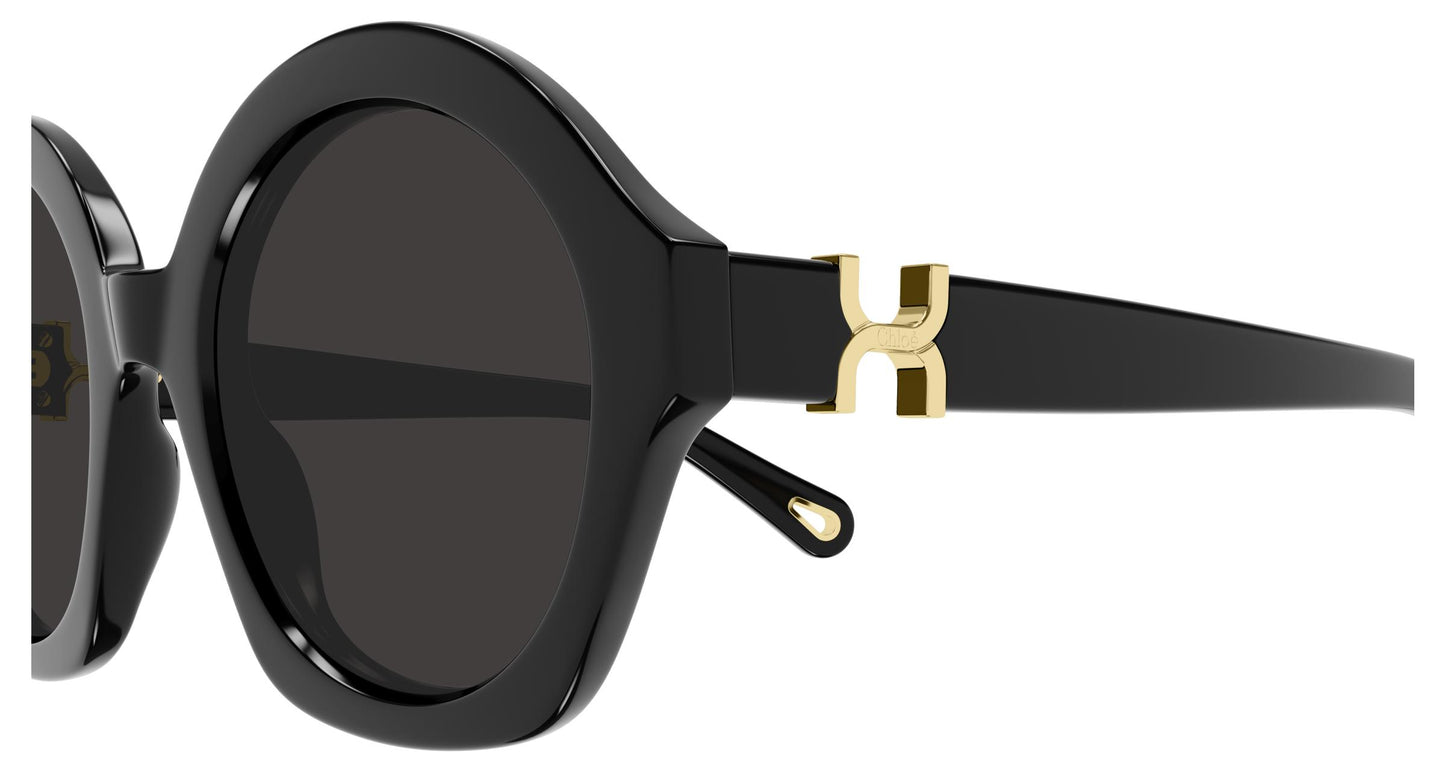 Chloé CH0302S 001 53