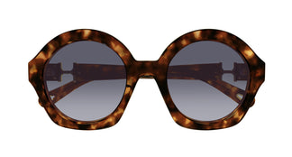 Chloé CH0302S 002 53