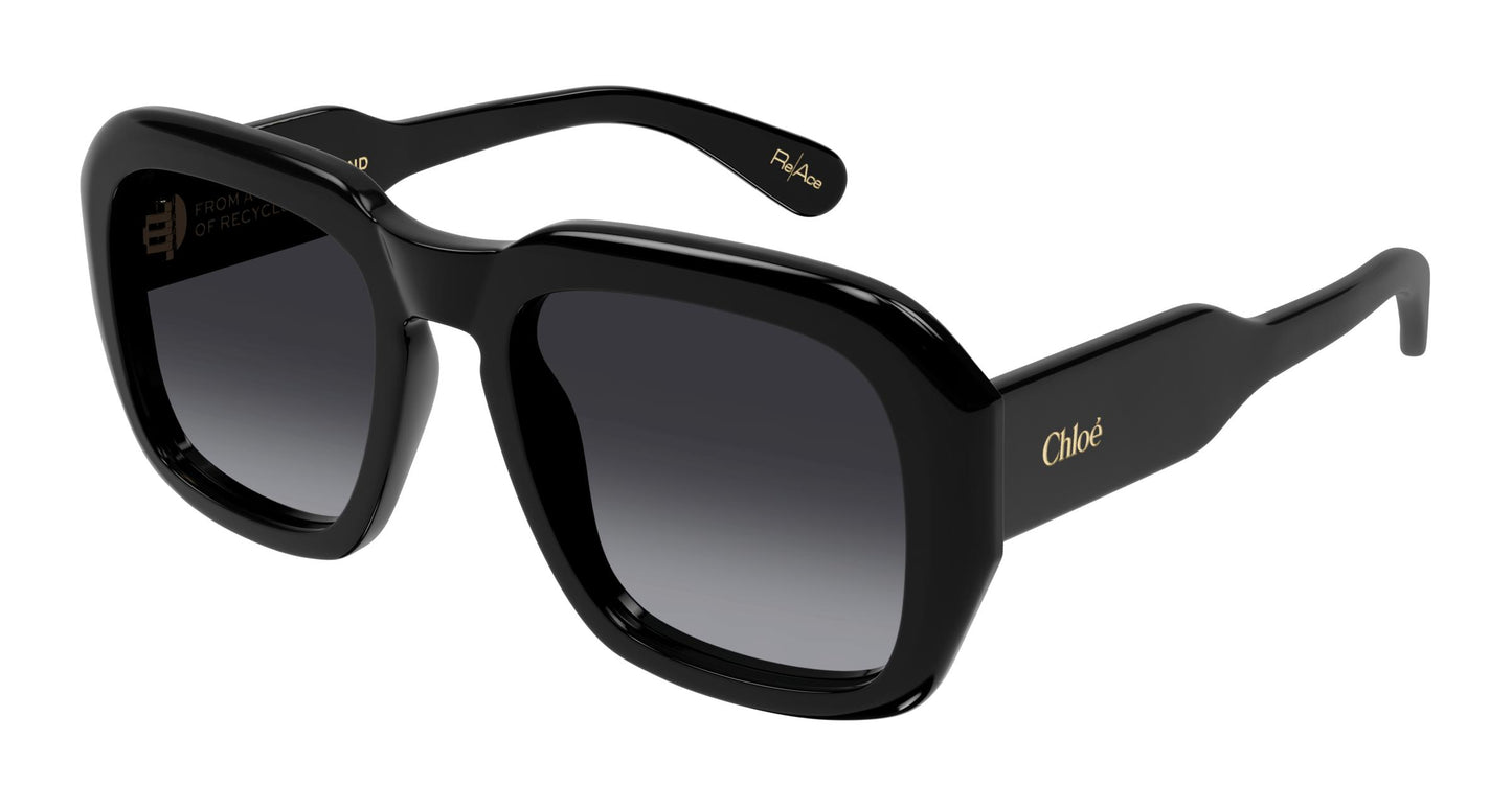 Chloé CH0310S 001 54