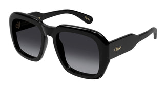 Chloé CH0310S 001 54