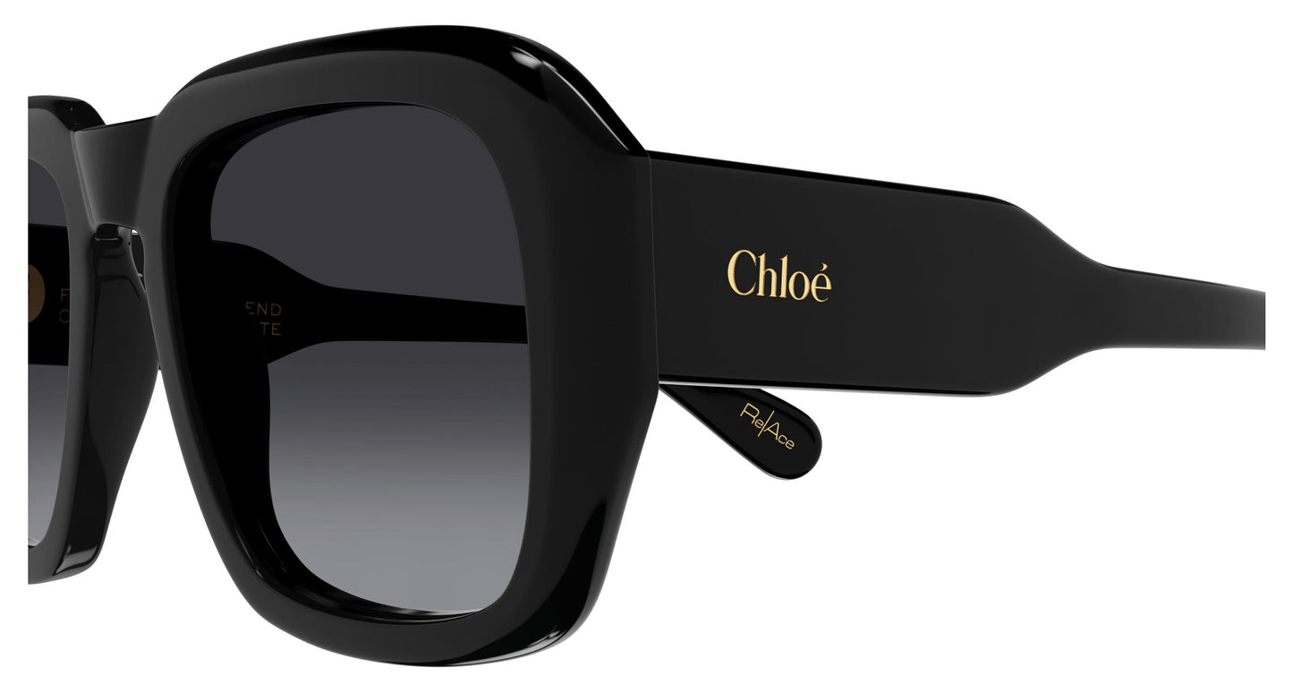Chloé CH0310S 001 54