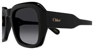 Chloé CH0310S 001 54