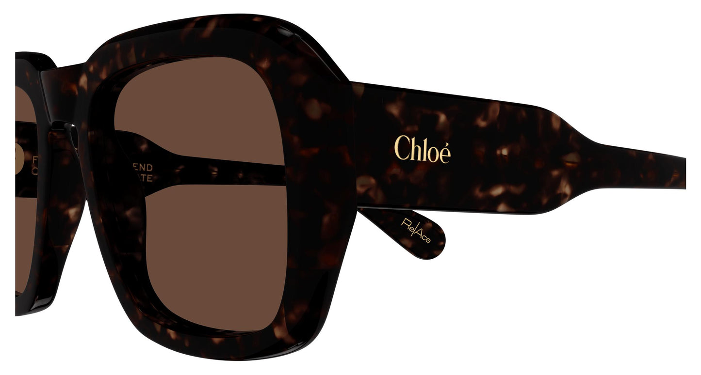 Chloé CH0310S 002 54
