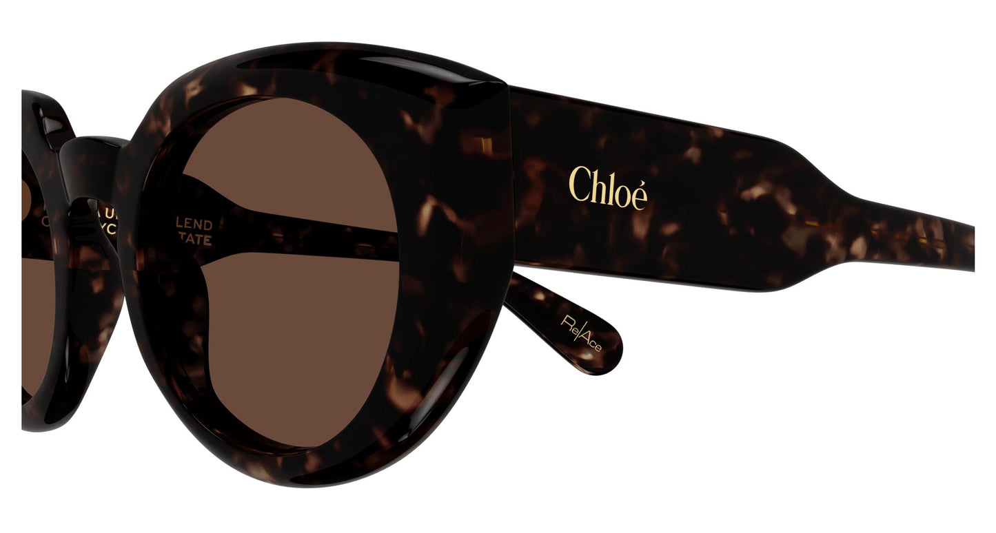 Chloé CH0311S 002 51