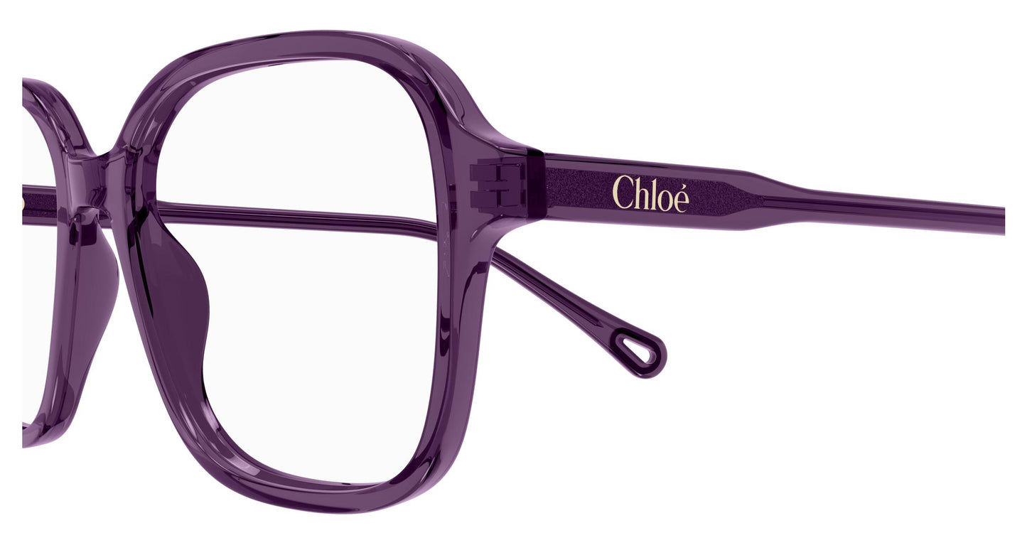 Chloé CH0313O 004 54