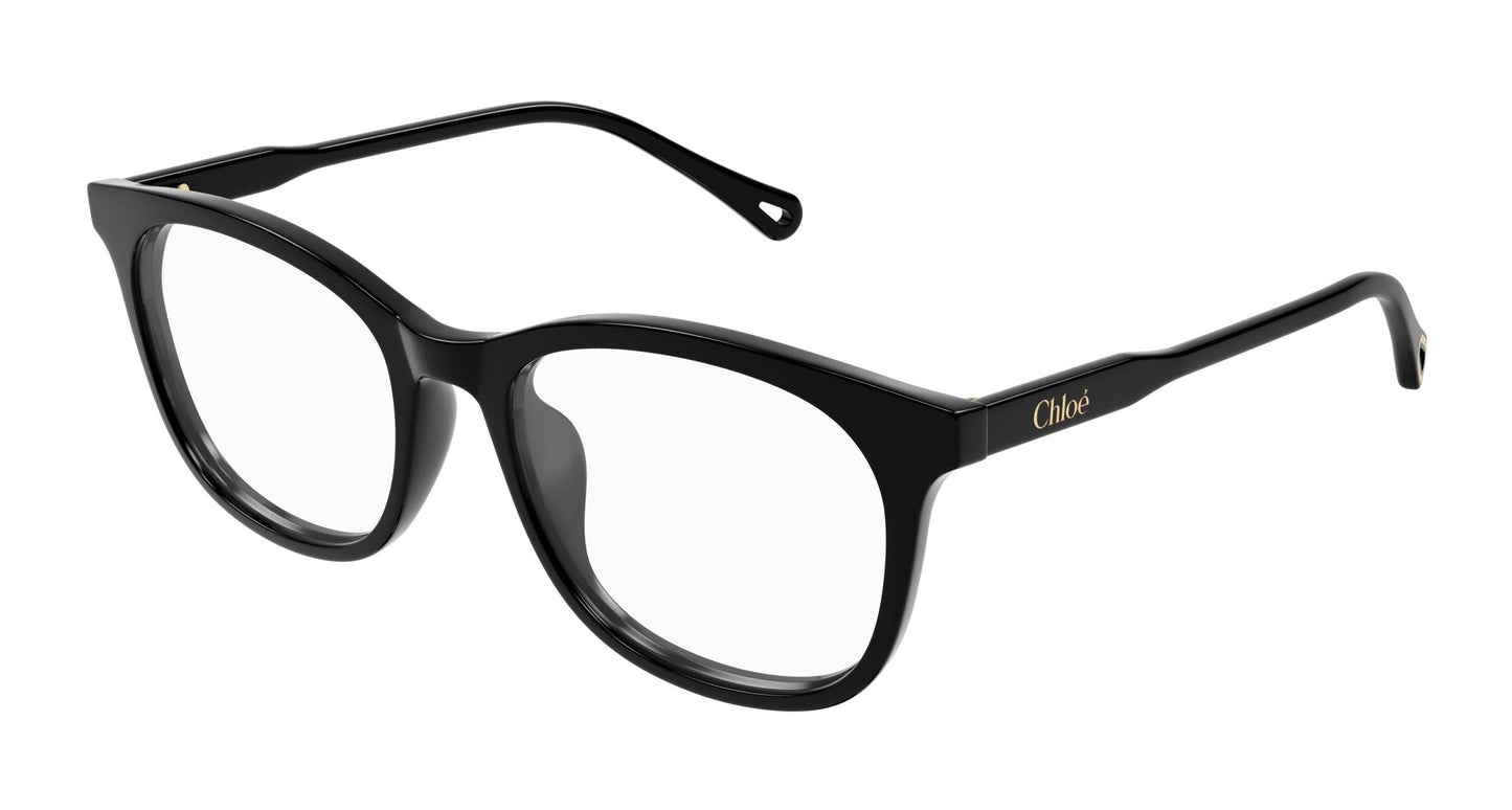 Chloé CH0314OA 001 54