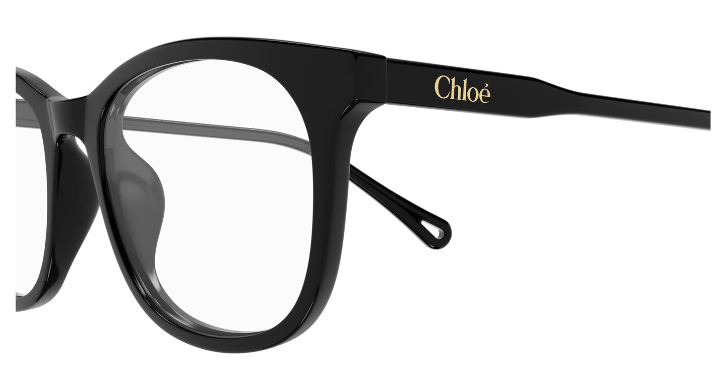 Chloé CH0314OA 001 54