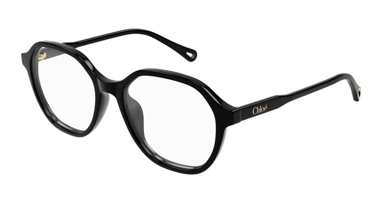 Chloé CH0315OA 001 53
