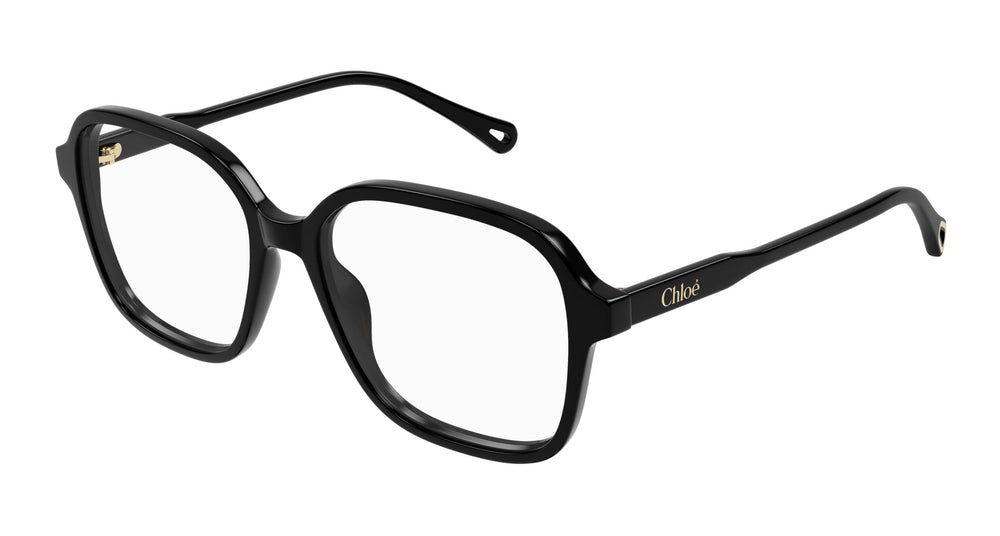 Chloé CH0317OA 001 54