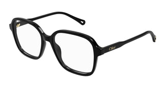 Chloé CH0317OA 001 54