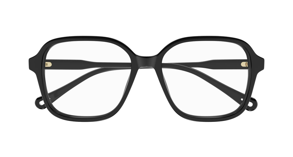 Chloé CH0317OA 001 54