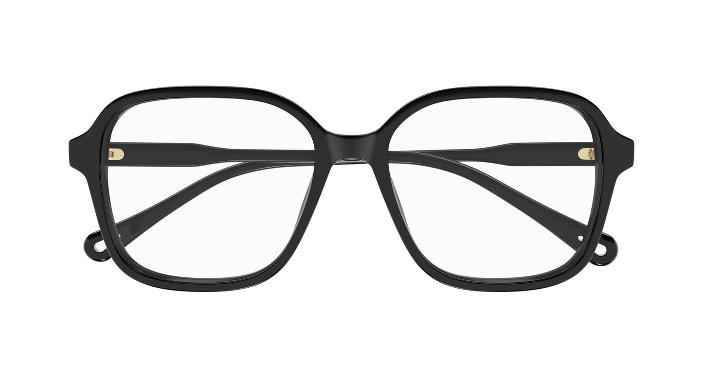 Chloé CH0317OA 001 54