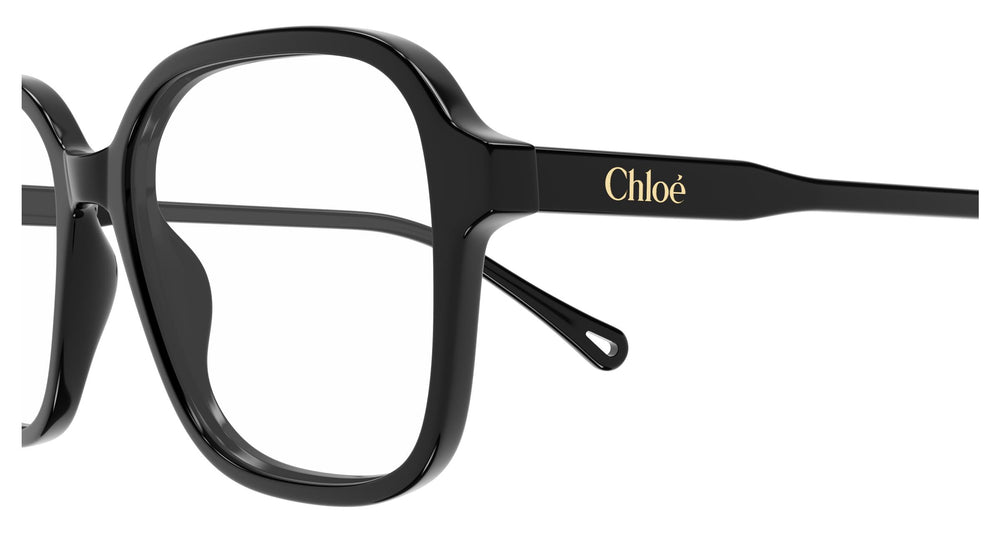 Chloé CH0317OA 001 54