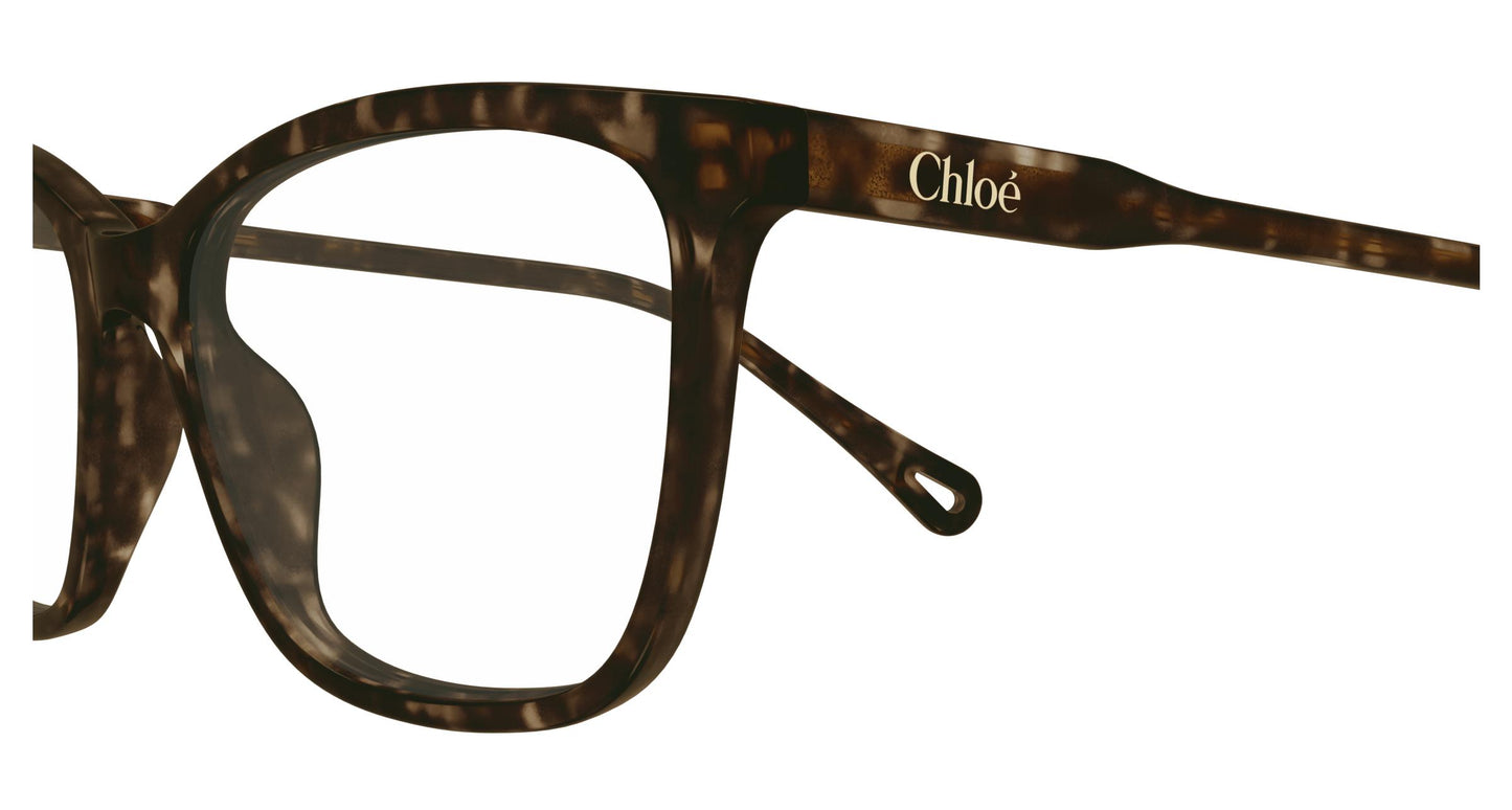 Chloé CH0318O 002 55