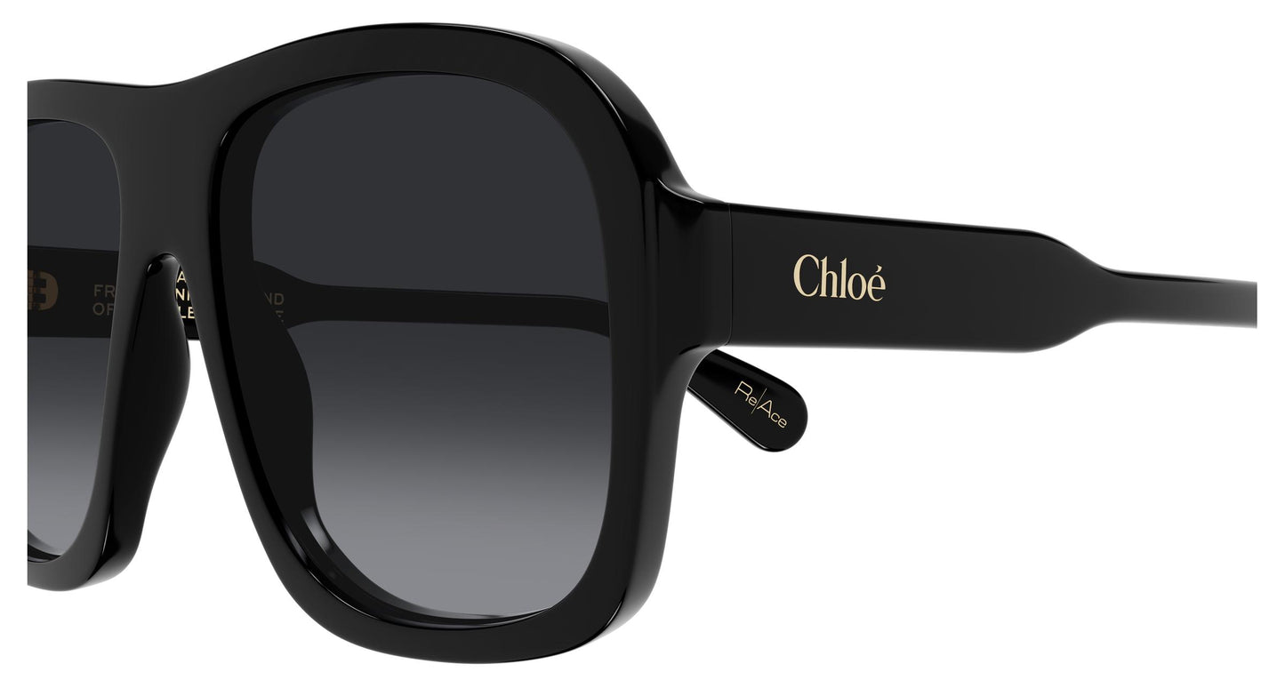 Chloé CH0331S 001 58