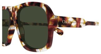 Chloé CH0331S 004 58