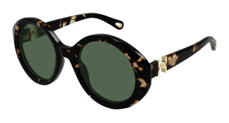 Chloé CH0332S 002 53