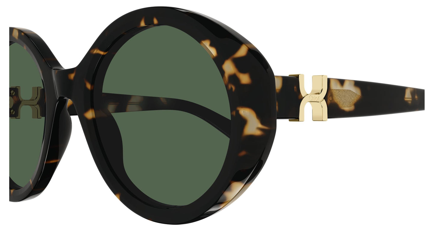 Chloé CH0332S 002 53