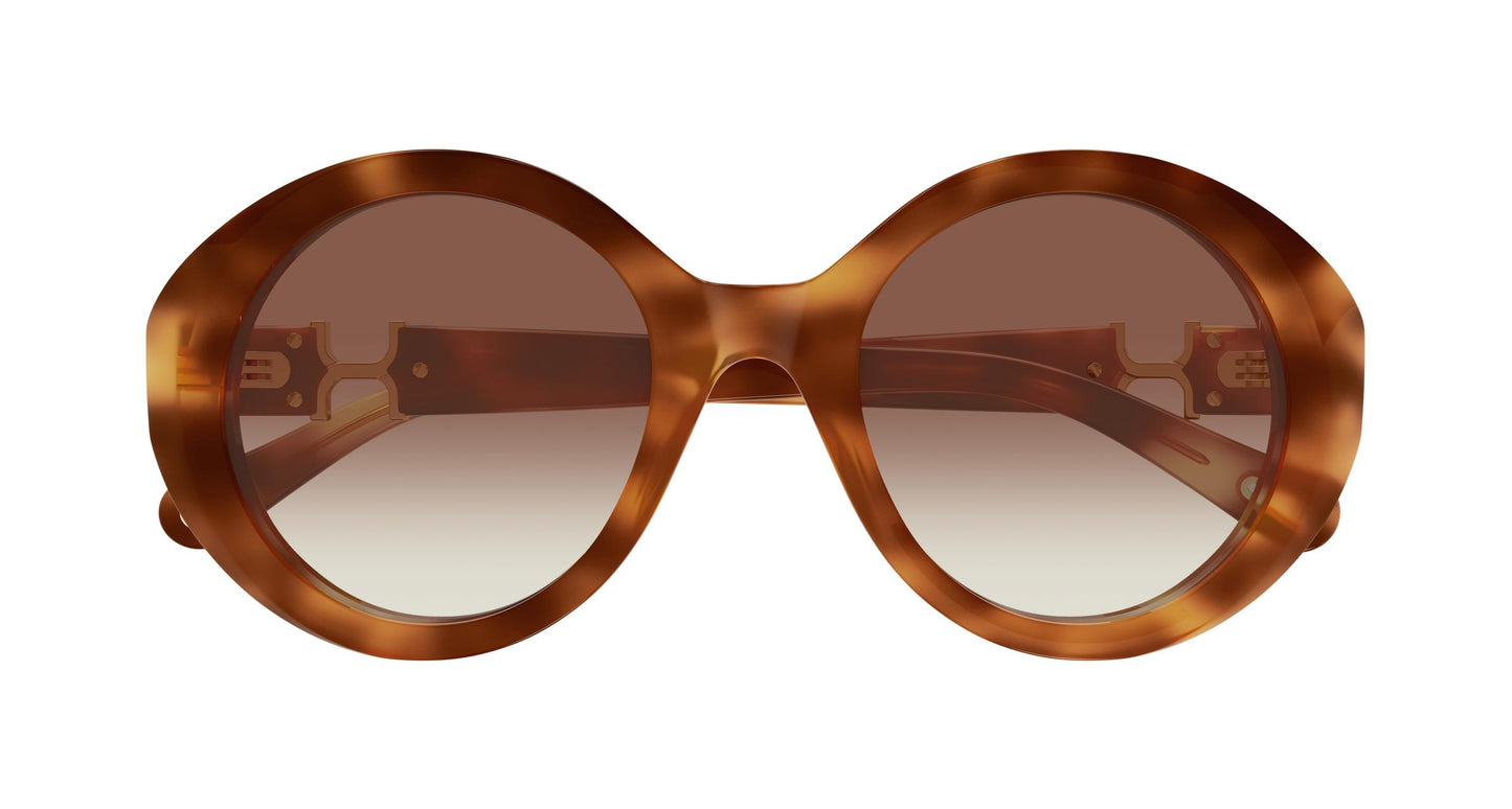 Chloé CH0332S 003 53