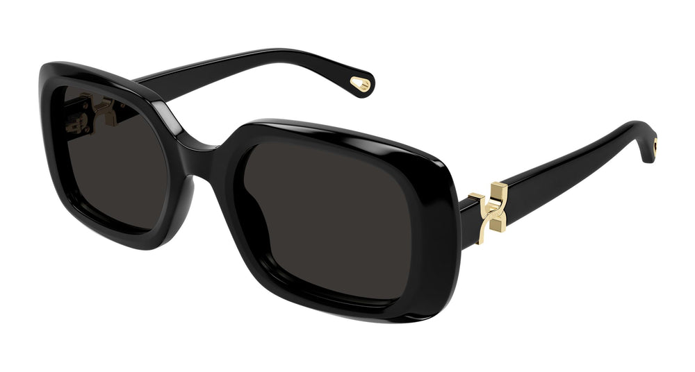 Chloé CH0333S 001 53