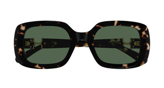 Chloé CH0333S 002 53