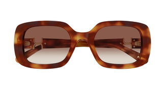 Chloé CH0333S 003 53