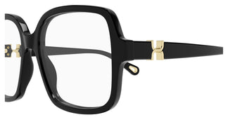 Chloé CH0335O 001 54