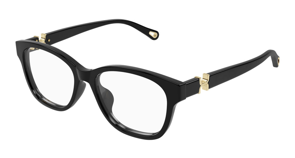 Chloé CH0336OA 001 53