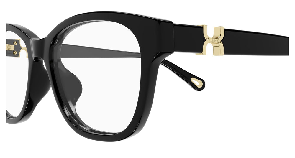 Chloé CH0336OA 001 53