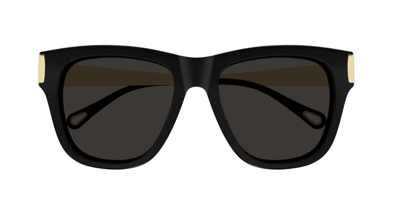 Chloé CH0349S 001 54