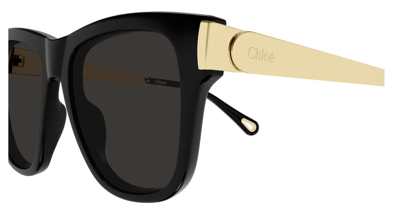 Chloé CH0349S 001 54