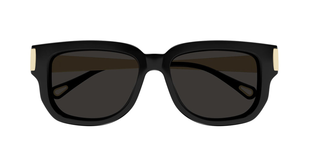 Chloé CH0351S 001 54
