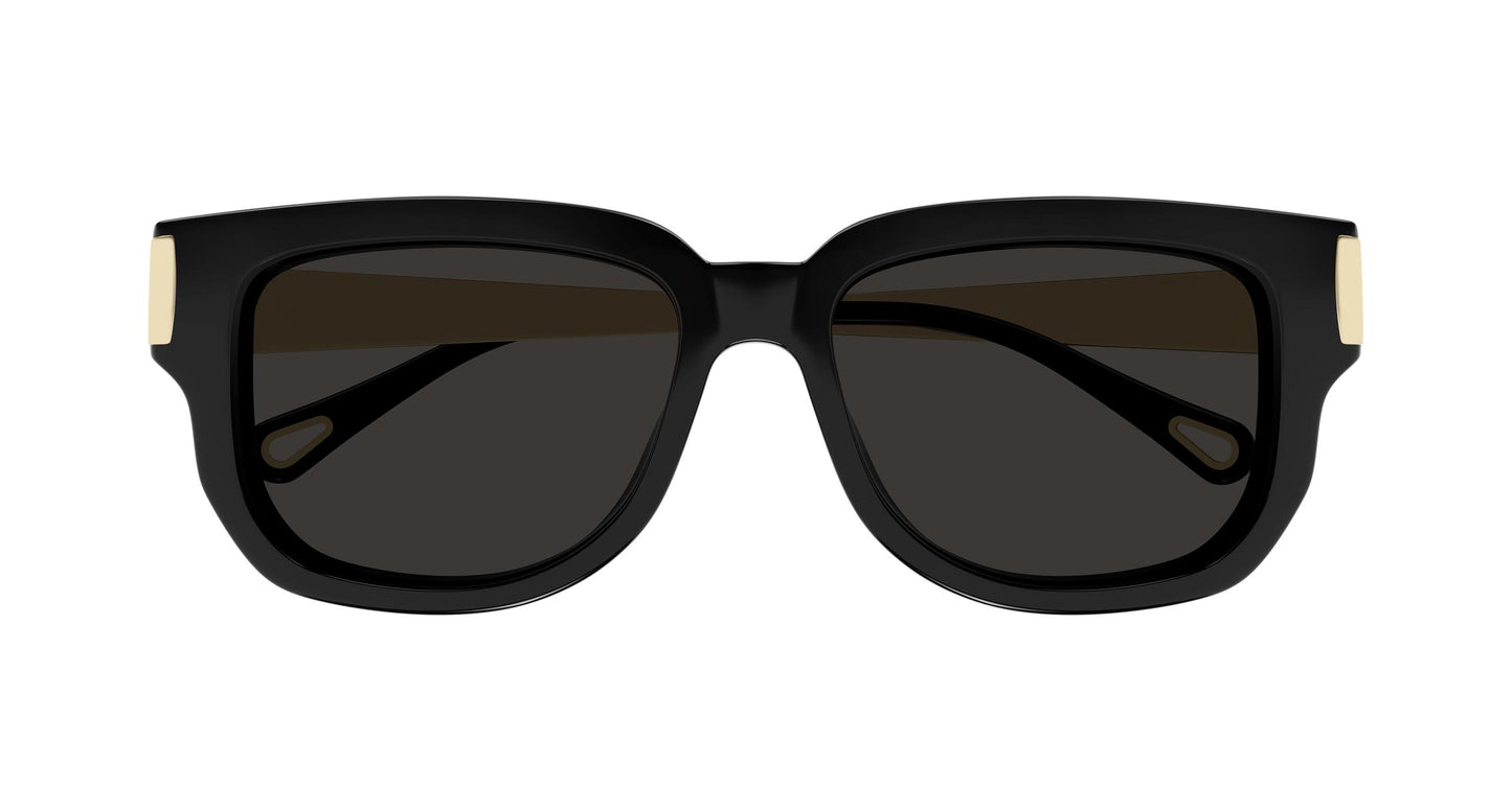 Chloé CH0351S 001 54