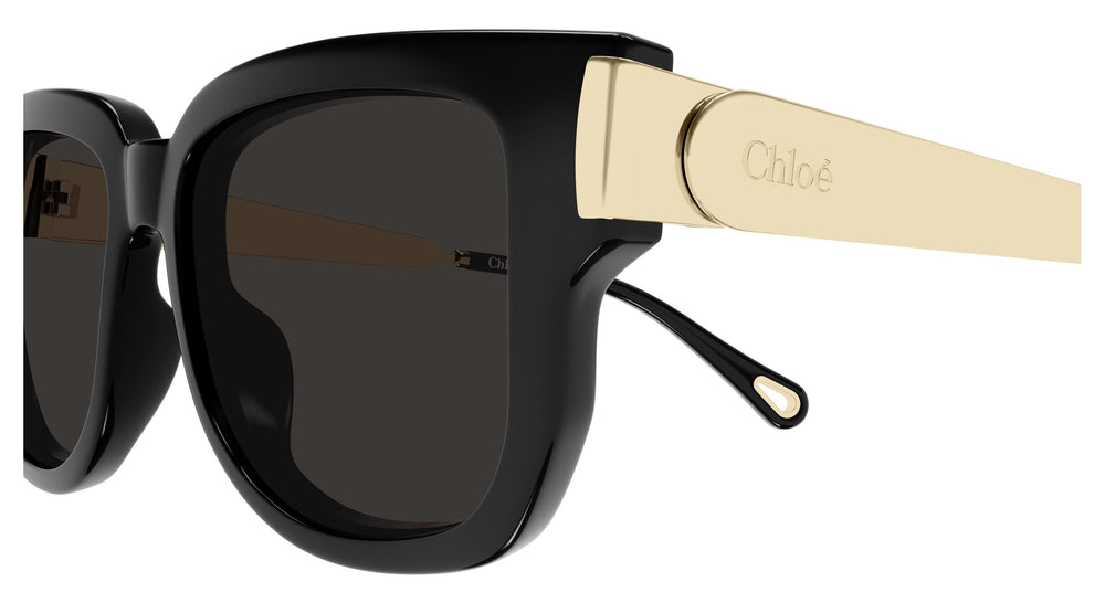 Chloé CH0351S 001 54