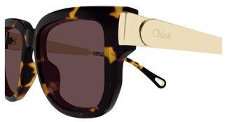 Chloé CH0351S 003 54