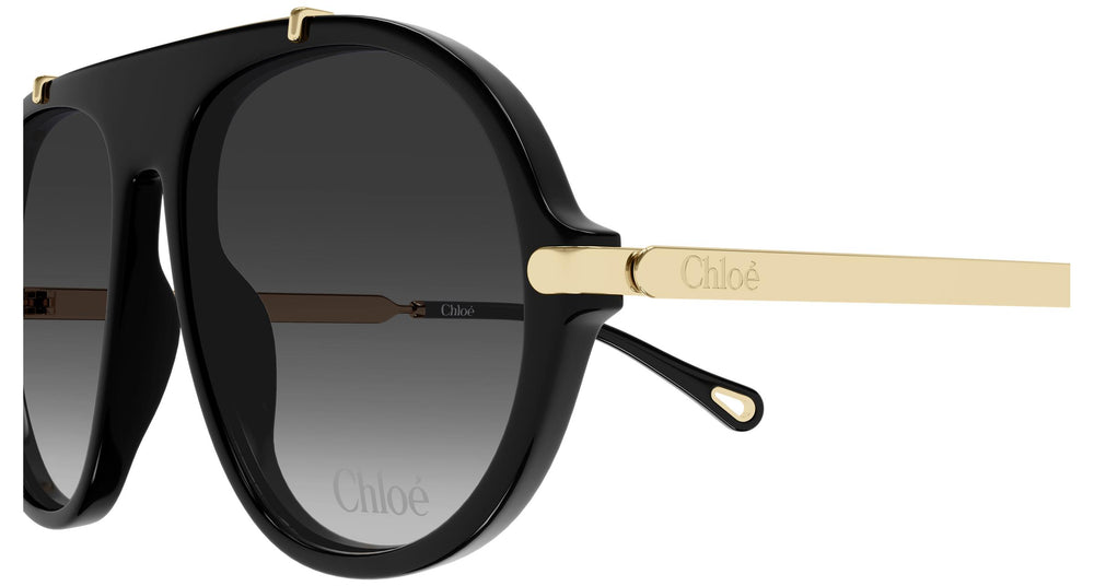 Chloé CH0357S 001 58