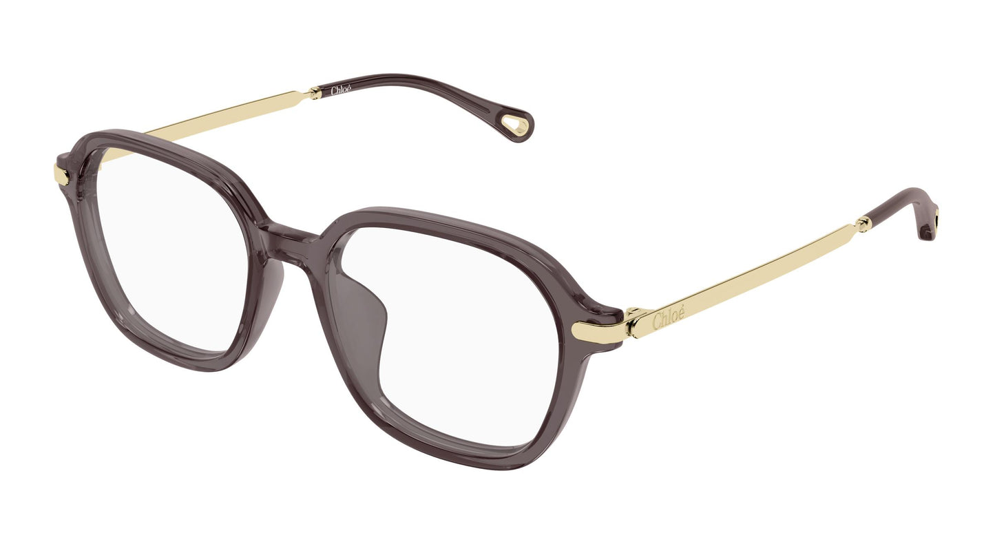 Chloé CH0361OA 001 52