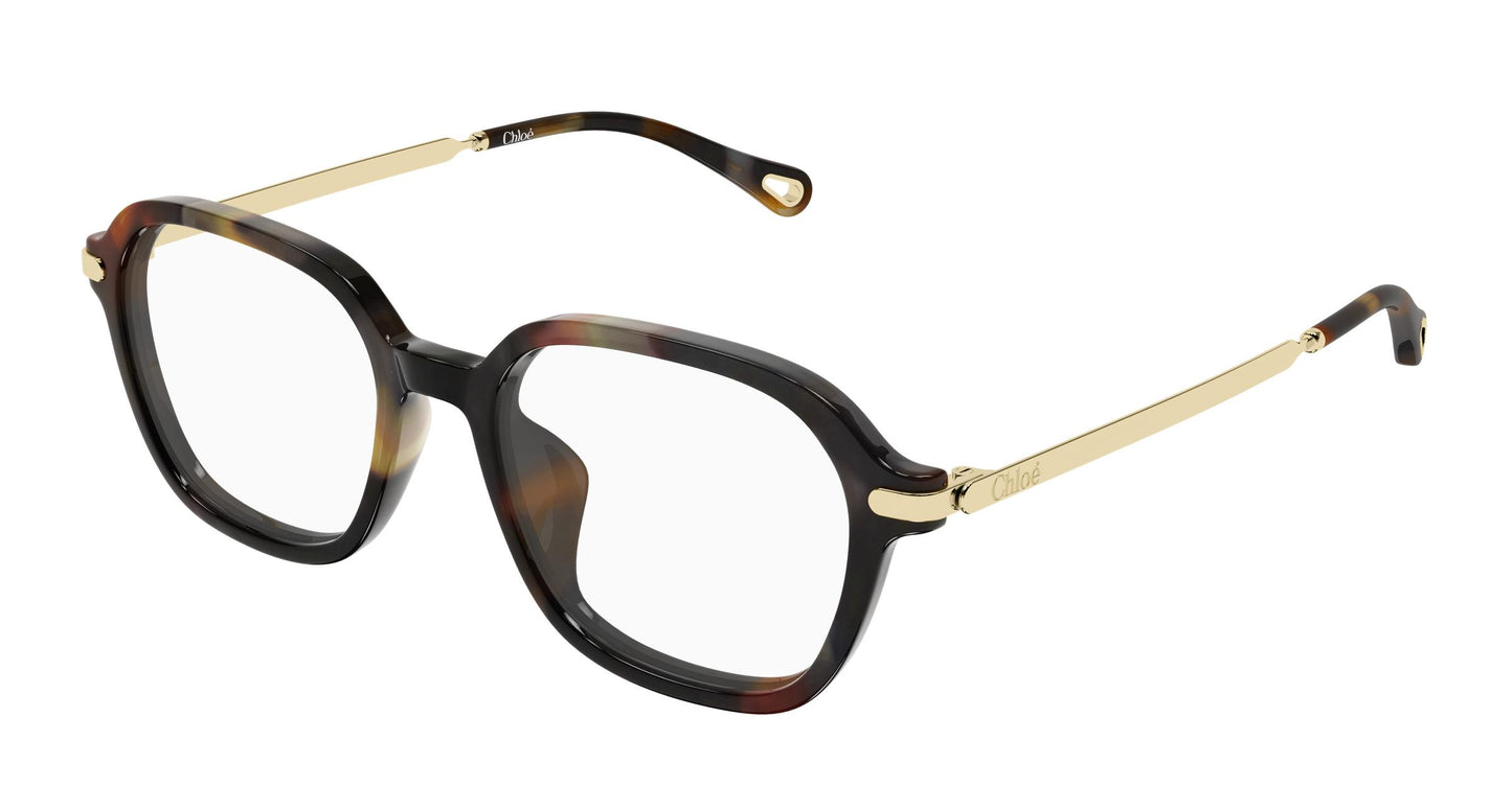 Chloé CH0361OA 002 52