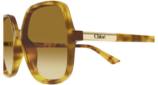 Chloé CH0362S 004 55